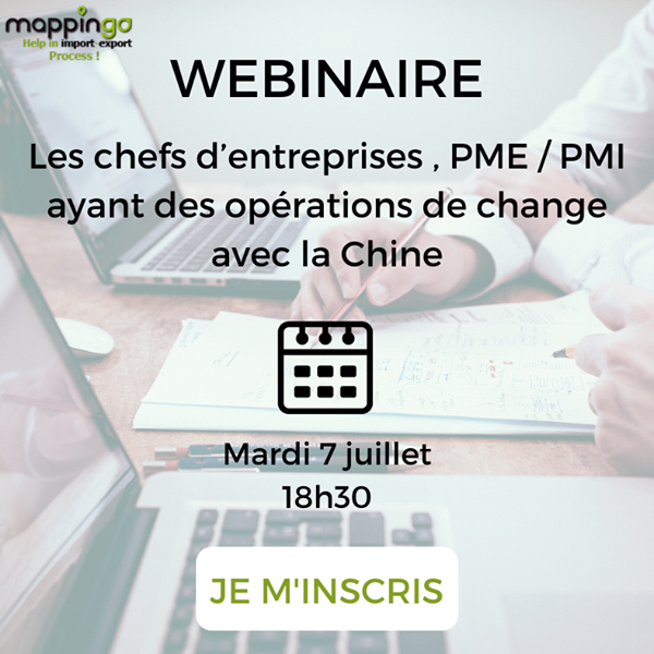 Webinaire Mappingo